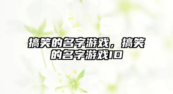 搞笑的名字游戲，搞笑的名字游戲ID