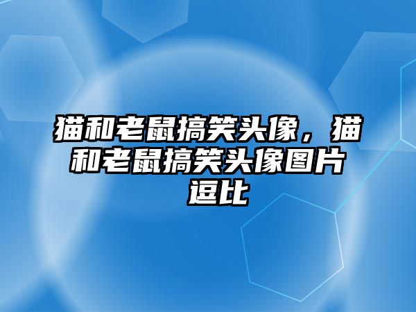 貓和老鼠搞笑頭像，貓和老鼠搞笑頭像圖片 逗比