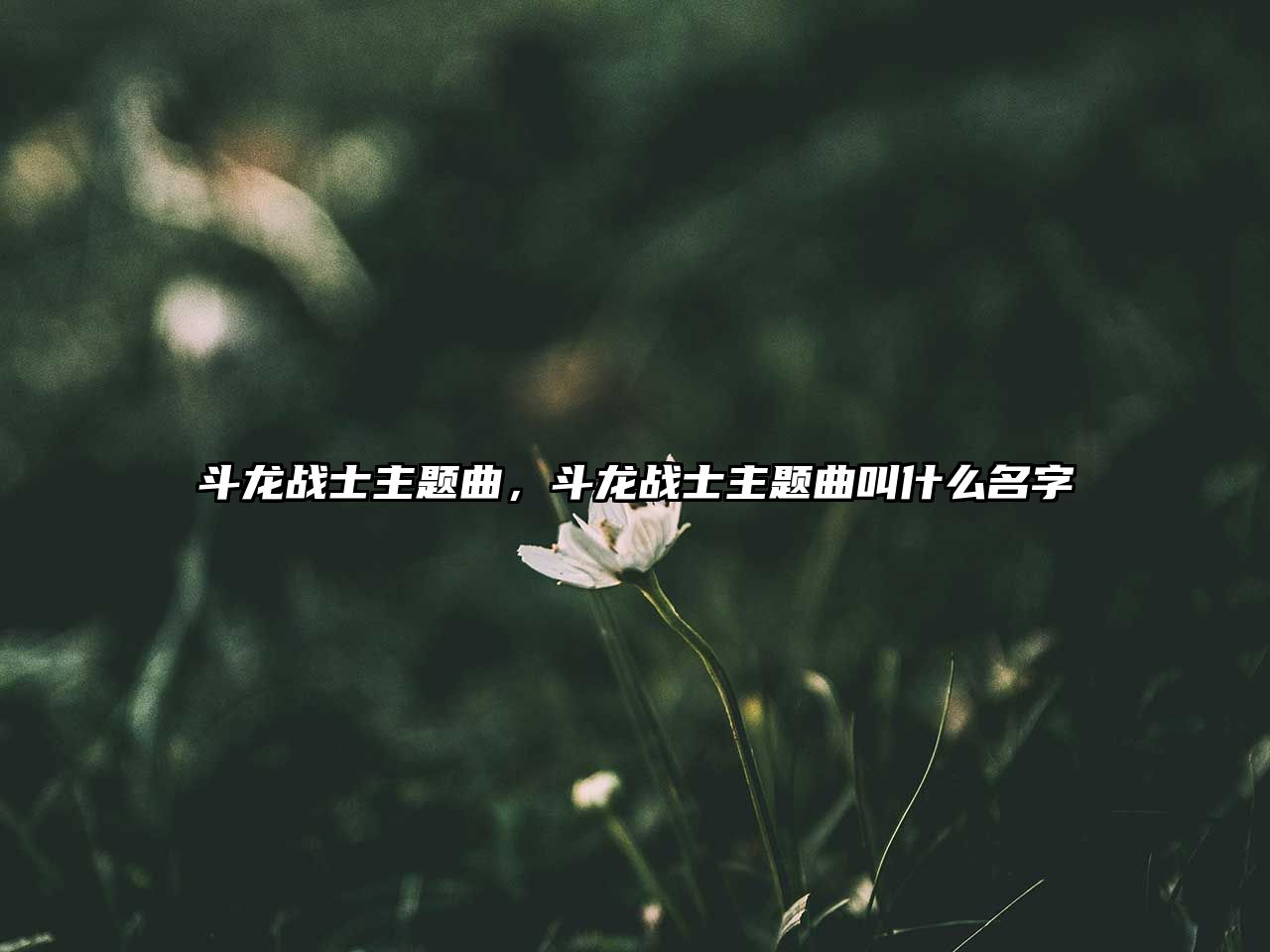 斗龍戰(zhàn)士主題曲，斗龍戰(zhàn)士主題曲叫什么名字