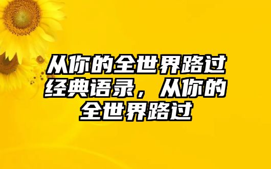 從你的全世界路過經(jīng)典語錄，從你的全世界路過