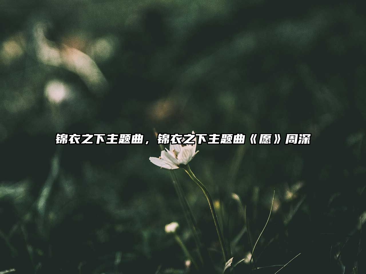 錦衣之下主題曲，錦衣之下主題曲《愿》周深