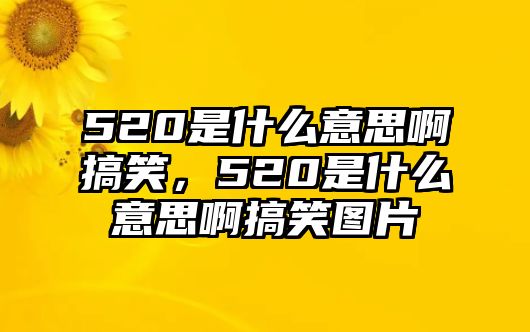 520是什么意思啊搞笑，520是什么意思啊搞笑圖片