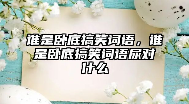 誰是臥底搞笑詞語，誰是臥底搞笑詞語尿對什么