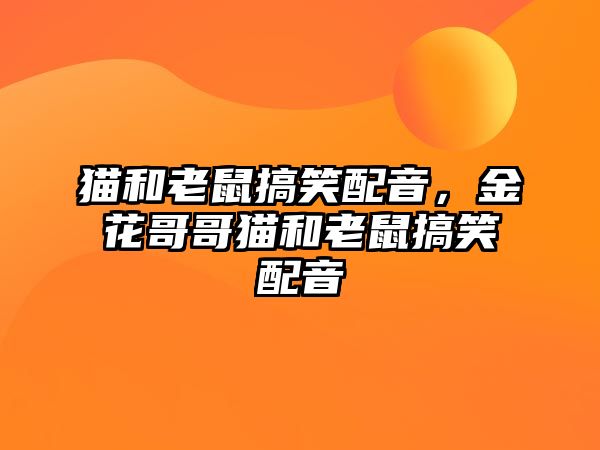 貓和老鼠搞笑配音，金花哥哥貓和老鼠搞笑配音