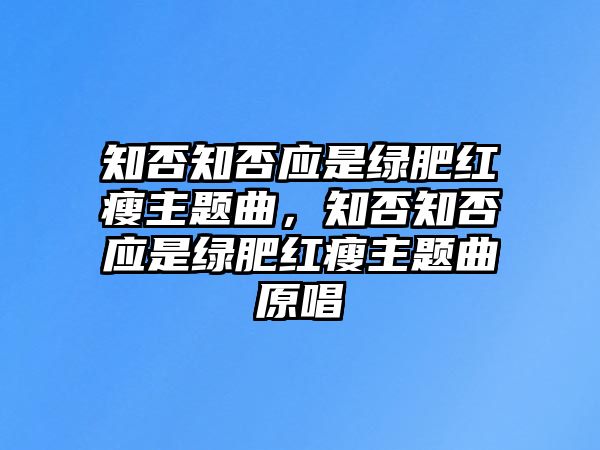 知否知否應(yīng)是綠肥紅瘦主題曲，知否知否應(yīng)是綠肥紅瘦主題曲原唱