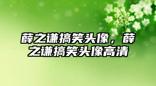 薛之謙搞笑頭像，薛之謙搞笑頭像高清