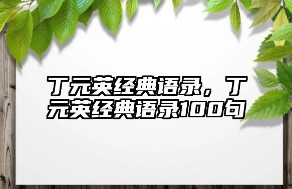 丁元英經(jīng)典語錄，丁元英經(jīng)典語錄100句