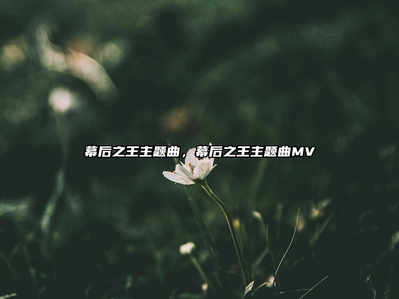 幕后之王主題曲，幕后之王主題曲MV