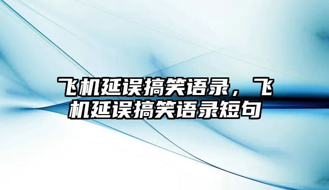 飛機(jī)延誤搞笑語(yǔ)錄，飛機(jī)延誤搞笑語(yǔ)錄短句