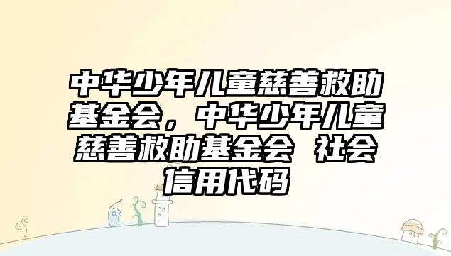 中華少年兒童慈善救助基金會，中華少年兒童慈善救助基金會 社會信用代碼