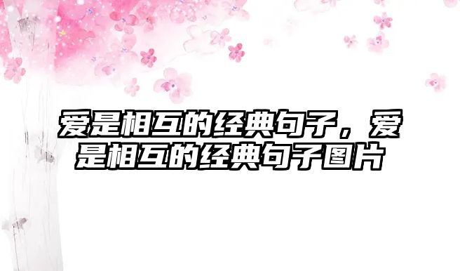 愛是相互的經(jīng)典句子，愛是相互的經(jīng)典句子圖片