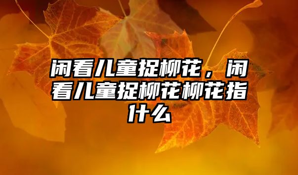 閑看兒童捉柳花，閑看兒童捉柳花柳花指什么