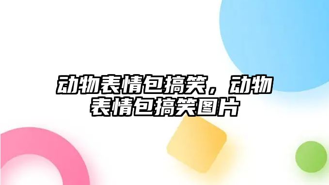 動物表情包搞笑，動物表情包搞笑圖片