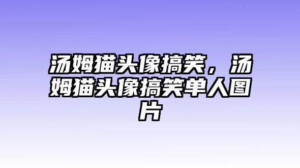 湯姆貓頭像搞笑，湯姆貓頭像搞笑單人圖片