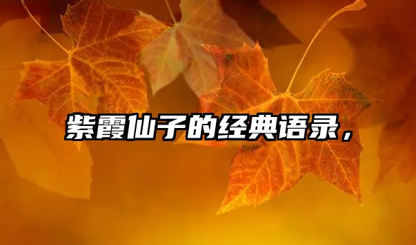 紫霞仙子的經(jīng)典語錄，