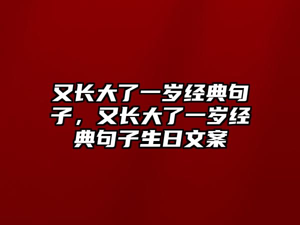 又長大了一歲經(jīng)典句子，又長大了一歲經(jīng)典句子生日文案