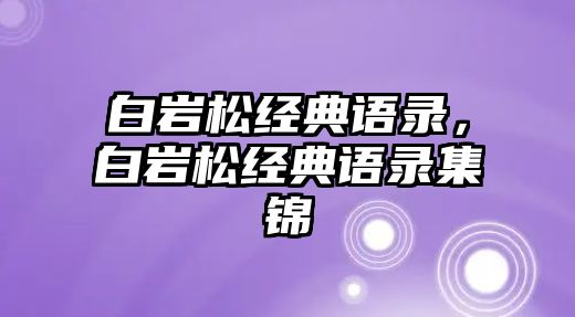 白巖松經(jīng)典語錄，白巖松經(jīng)典語錄集錦