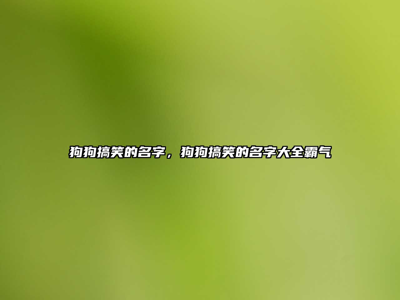 狗狗搞笑的名字，狗狗搞笑的名字大全霸氣