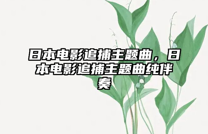 日本電影追捕主題曲，日本電影追捕主題曲純伴奏