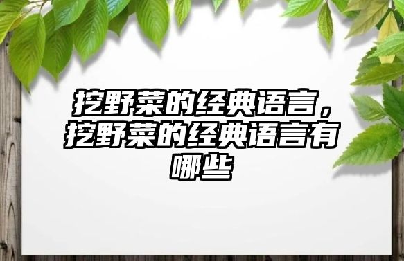 挖野菜的經(jīng)典語言，挖野菜的經(jīng)典語言有哪些