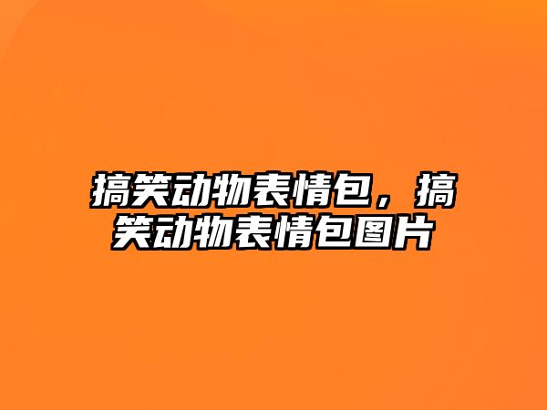 搞笑動物表情包，搞笑動物表情包圖片