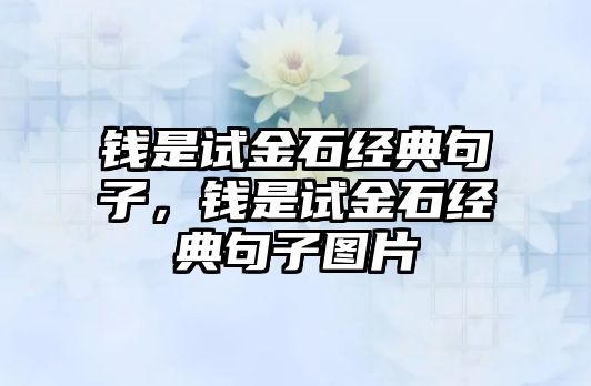 錢是試金石經(jīng)典句子，錢是試金石經(jīng)典句子圖片