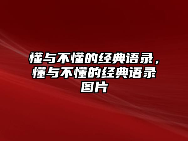 懂與不懂的經(jīng)典語錄，懂與不懂的經(jīng)典語錄圖片