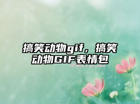 搞笑動(dòng)物gif，搞笑動(dòng)物GIF表情包