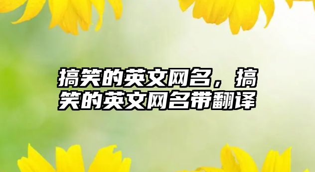 搞笑的英文網(wǎng)名，搞笑的英文網(wǎng)名帶翻譯