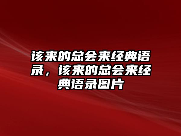 該來的總會來經(jīng)典語錄，該來的總會來經(jīng)典語錄圖片