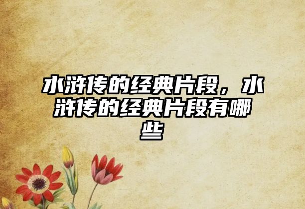 水滸傳的經(jīng)典片段，水滸傳的經(jīng)典片段有哪些