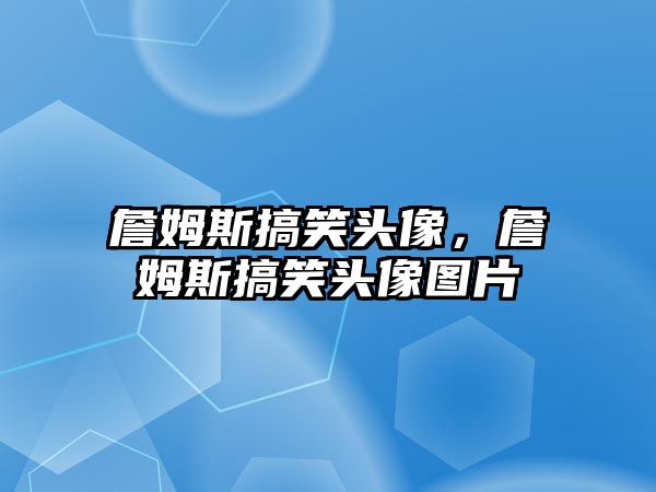 詹姆斯搞笑頭像，詹姆斯搞笑頭像圖片