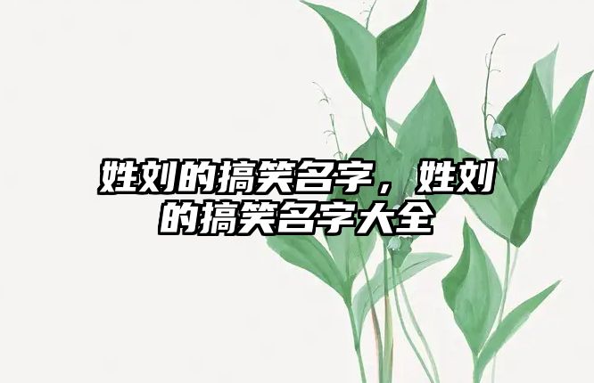 姓劉的搞笑名字，姓劉的搞笑名字大全