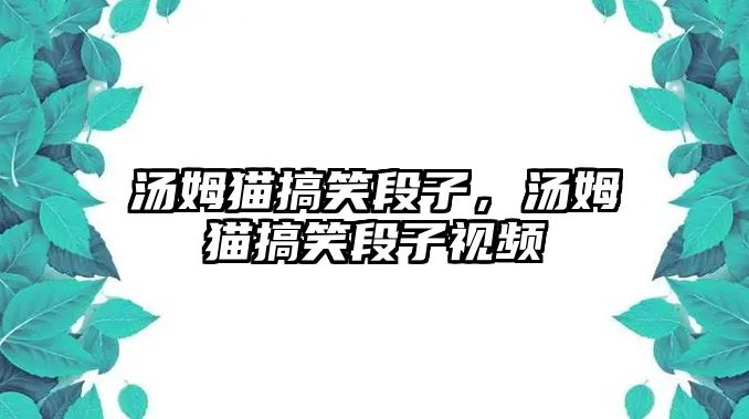 湯姆貓搞笑段子，湯姆貓搞笑段子視頻