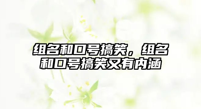 組名和口號搞笑，組名和口號搞笑又有內(nèi)涵