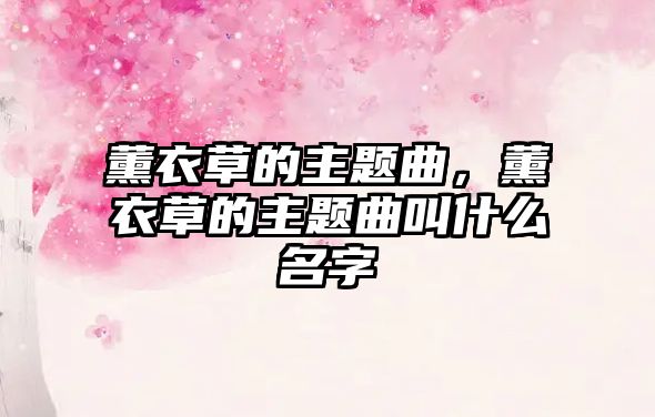 薰衣草的主題曲，薰衣草的主題曲叫什么名字