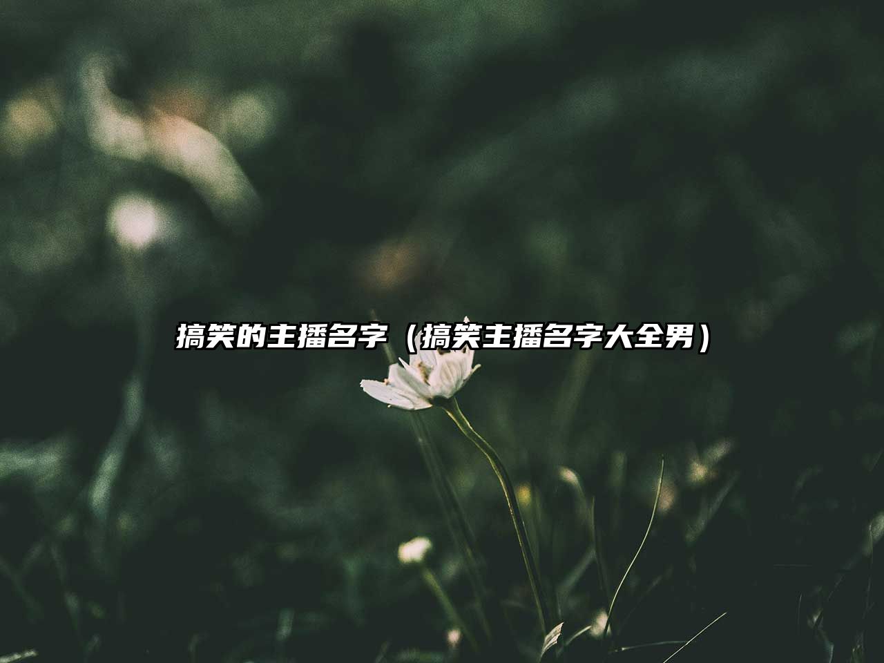 搞笑的主播名字（搞笑主播名字大全男）