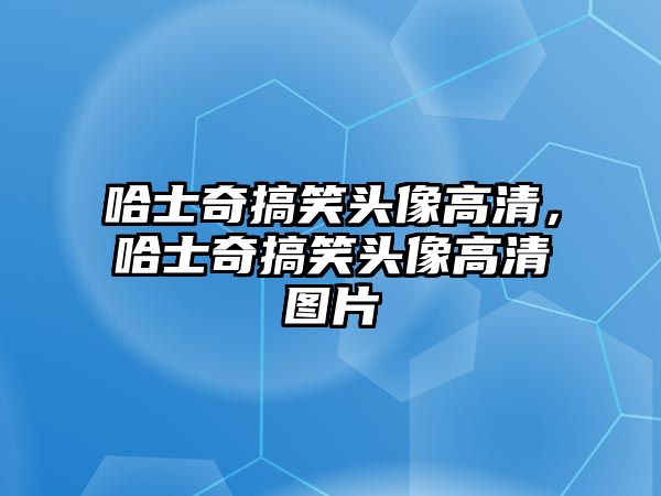 哈士奇搞笑頭像高清，哈士奇搞笑頭像高清圖片