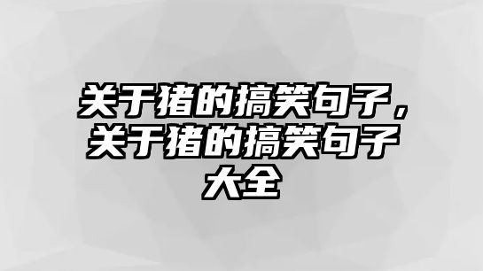 關(guān)于豬的搞笑句子，關(guān)于豬的搞笑句子大全