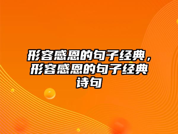 形容感恩的句子經(jīng)典，形容感恩的句子經(jīng)典詩句