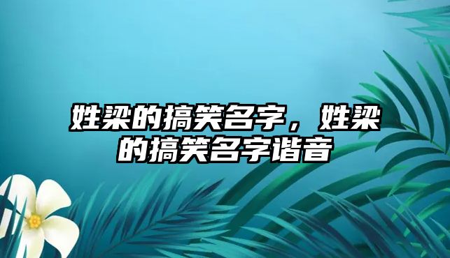 姓梁的搞笑名字，姓梁的搞笑名字諧音