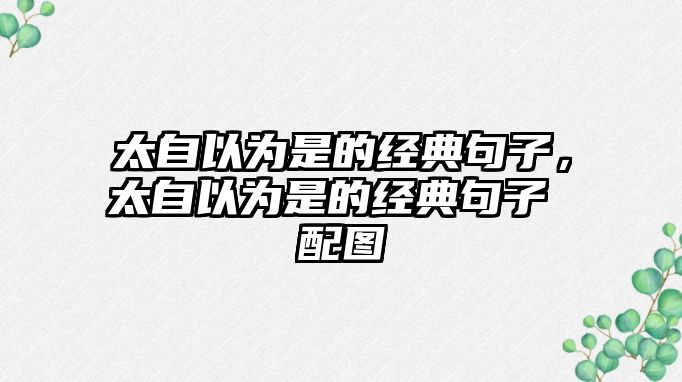 太自以為是的經(jīng)典句子，太自以為是的經(jīng)典句子 配圖