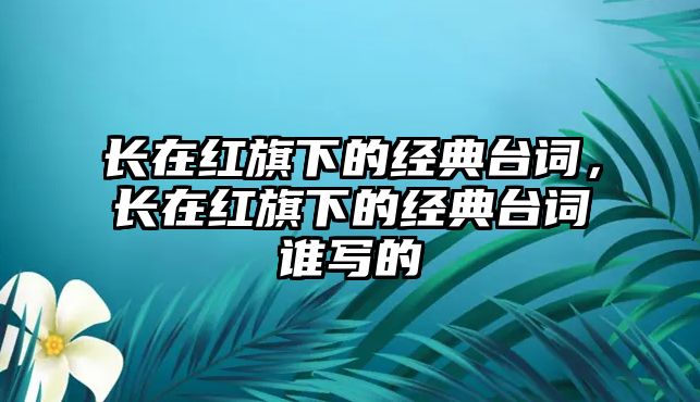 長在紅旗下的經典臺詞，長在紅旗下的經典臺詞誰寫的