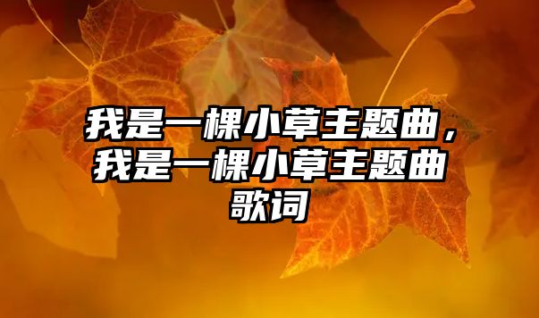 我是一棵小草主題曲，我是一棵小草主題曲歌詞