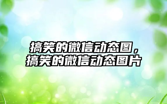 搞笑的微信動態(tài)圖，搞笑的微信動態(tài)圖片