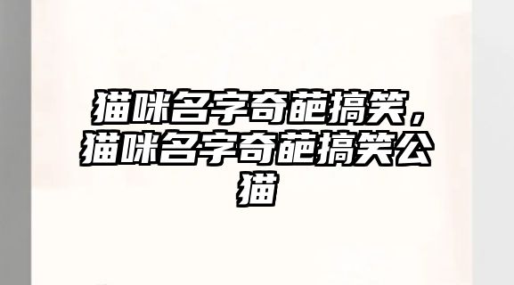 貓咪名字奇葩搞笑，貓咪名字奇葩搞笑公貓