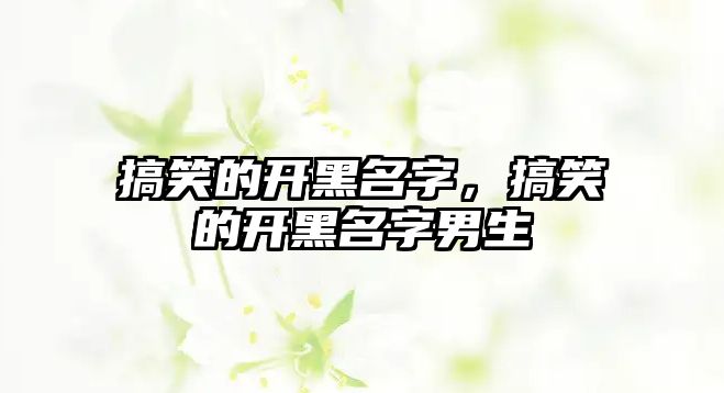 搞笑的開黑名字，搞笑的開黑名字男生