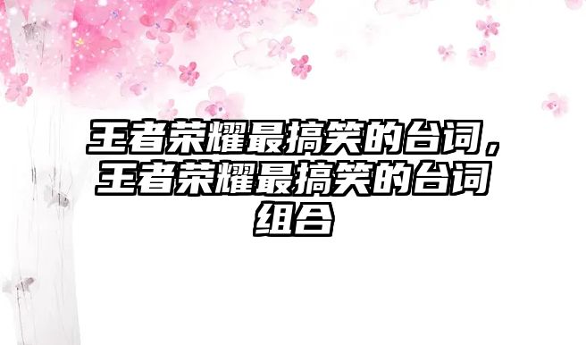 王者榮耀最搞笑的臺詞，王者榮耀最搞笑的臺詞組合