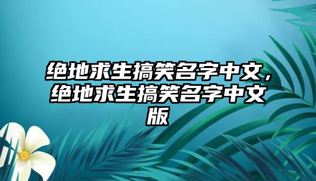 絕地求生搞笑名字中文，絕地求生搞笑名字中文版