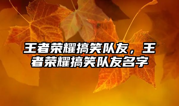 王者榮耀搞笑隊(duì)友，王者榮耀搞笑隊(duì)友名字